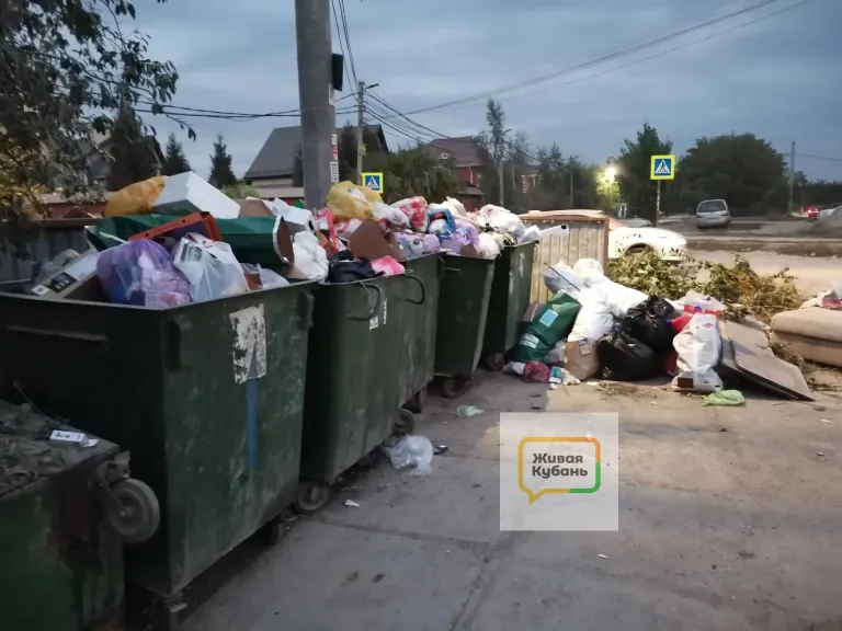 Краснодар не вошёл в режим повышенной готовности из-за мусора
