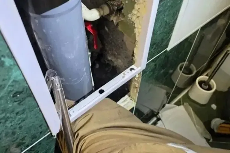 В Новороссийске спасатели вытащили котёнка из стены ванной