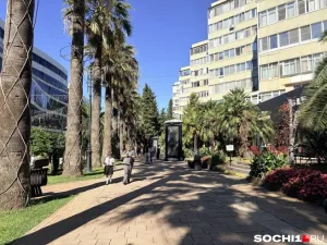 Жители Сочи пожаловались на упадок курорта и отток бизнеса