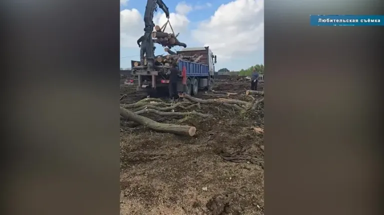 В Анапе ветеранам и многодетным семьям доставили дрова к отопительному сезону
