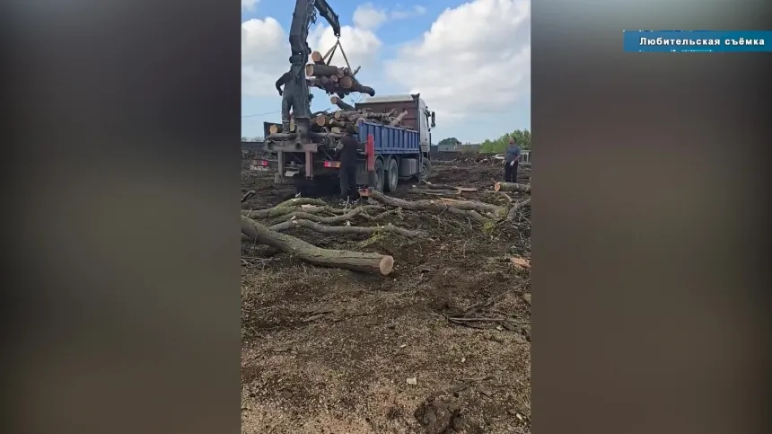 В Анапе ветеранам и многодетным семьям доставили дрова к отопительному сезону