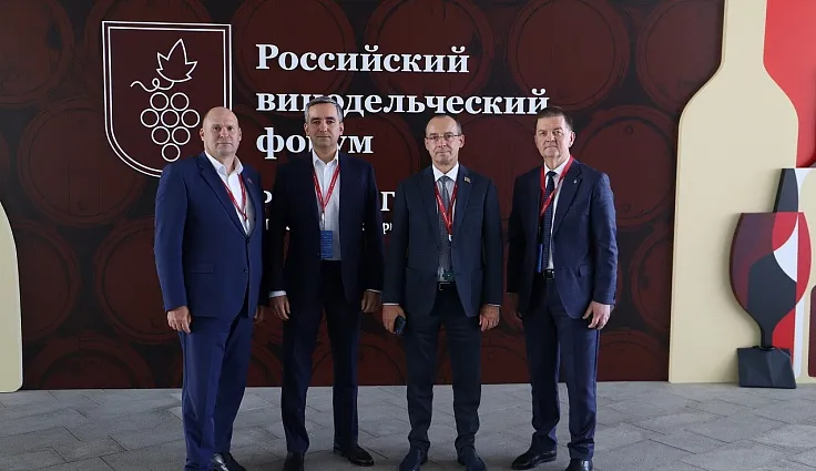 Кубань выпустила 25 млн декалитров вина и шампанского